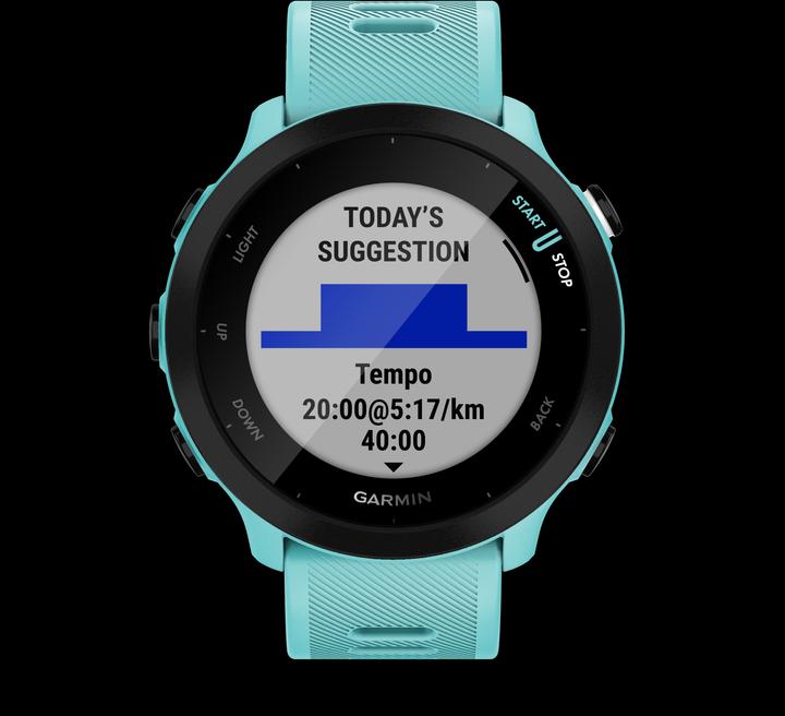 Produktbild Garmin Forerunner 55 (42 mm)