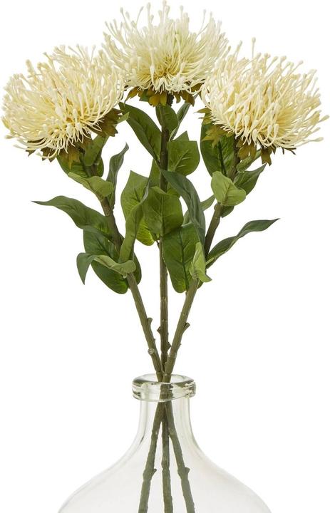 Produktbild Hill Interiors Künstliche Pflanze (73 cm)