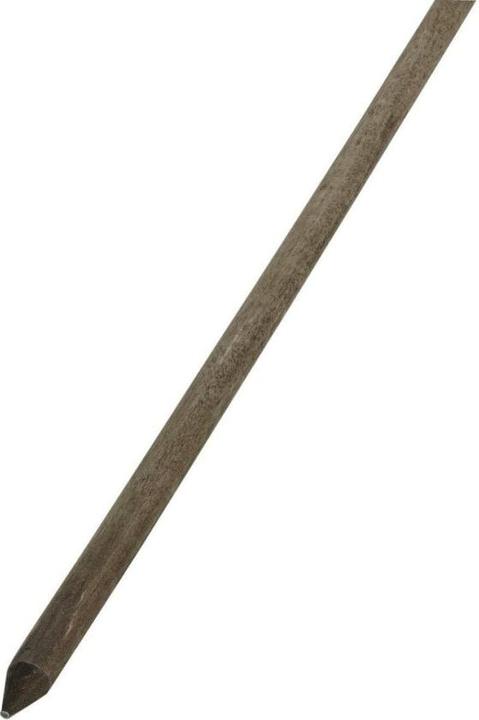 Actual product image Blomus Orchos