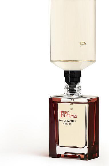 Image du produit Hermès Terre d'Hermes (Eau de parfum, 100 ml)