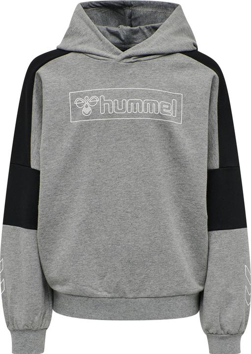 Immagine prodotto hummel Felpa Con Cappuccio Boxline (110)