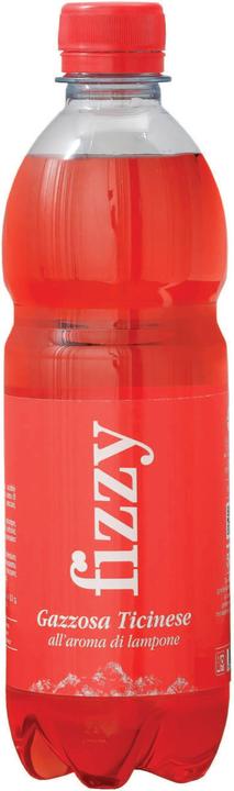 Image du produit Fizzy Tessiner (1 x 50 cl)