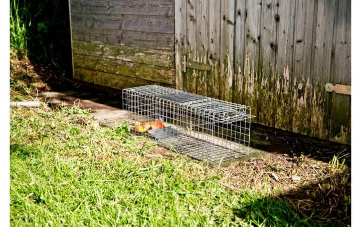 Actual product image Windhager Marten Traps
