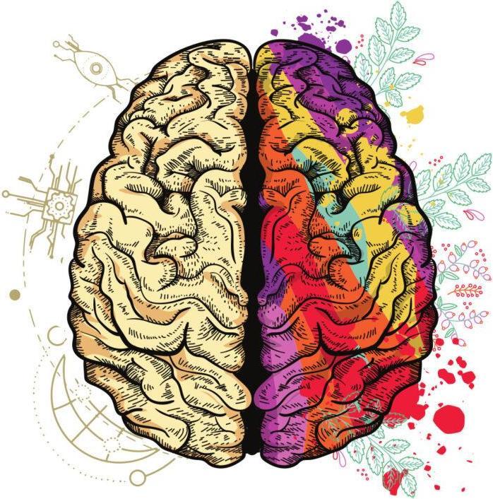 Image du produit Bügelbilder Bügelbild Brain