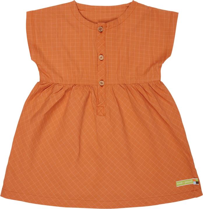Actual product image loud + proud Fine check dress (122)