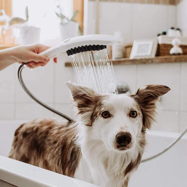 Produktbild hansgrohe DogShower Hundebrause 150 Select (3 Strahlarten, 7.60 l/min)