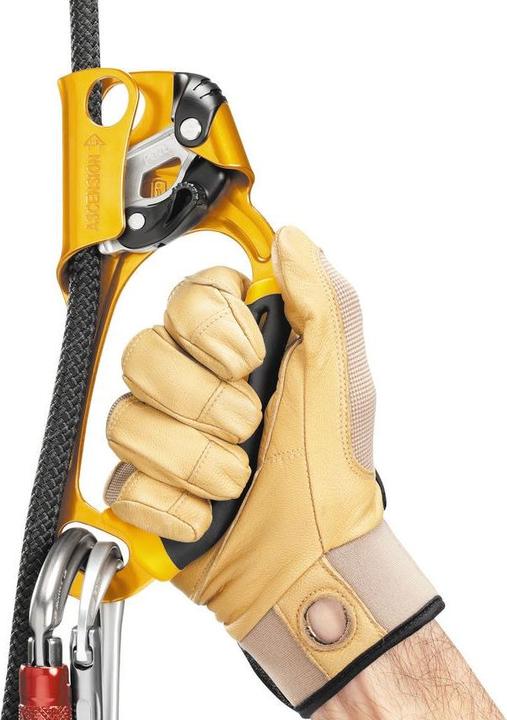 Actual product image Petzl Ascension Links