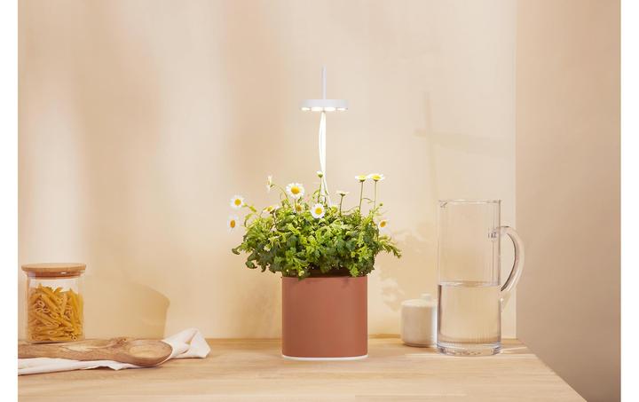 Actual product image Prêt à Pousser Herb pot Nano, Terracota (13.50 cm)