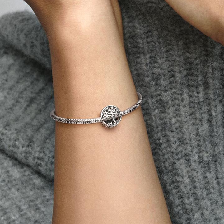 Image du produit Pandora Charm Hommage Familial (Argent)