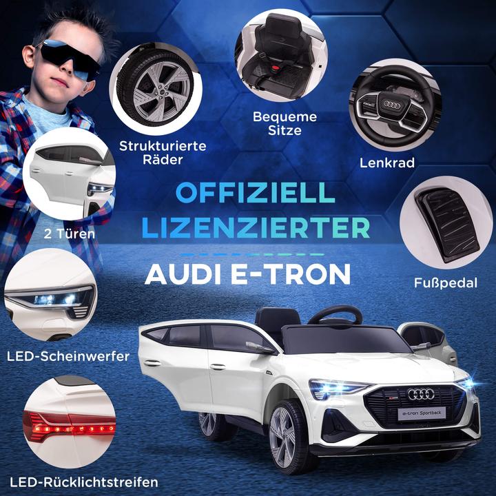 Immagine prodotto Jamb Audi e-tron (12 V)