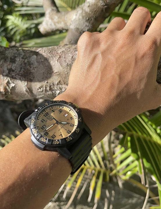 Immagine prodotto Luminox Turgone Dalla Schiena Di Pelle Serie Gian 0320 (Orologio sub, 44 mm)