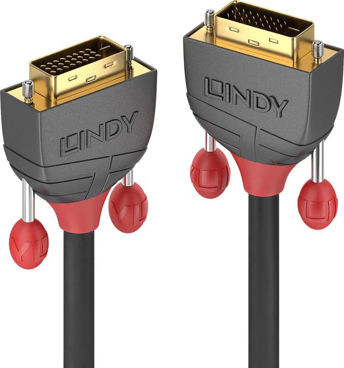 Actual product image Lindy Dvi — Dvi (0.50 m, DVI)