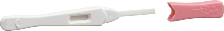 Produktbild Primeview Pregnancy Test (1 x)