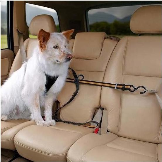 Produktbild Kurgo Auto Zip Line & Leash (Hund, Reflektoren)
