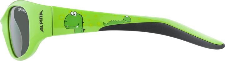 Actual product image ALPINA SPORTS Flexxy