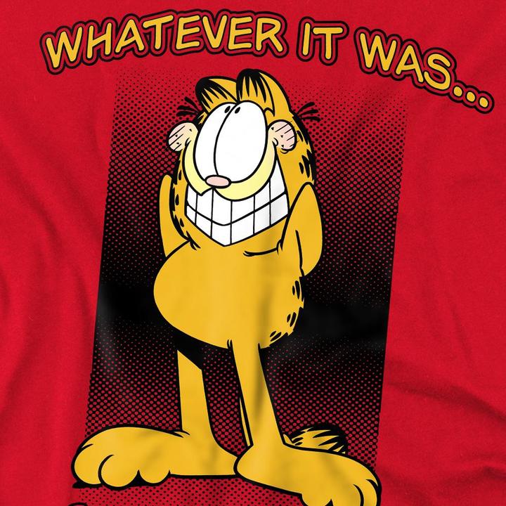 Image du produit Garfield - T-shirt DIDN'T DO IT - Homme (4XL)