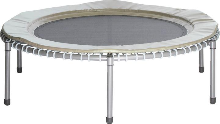 Sport-Thieme Thera-Tramp