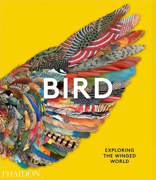 Actual product image Bird (English, Katrina van Grouw, Phaidon Editors, Jen Lobo, 2021)