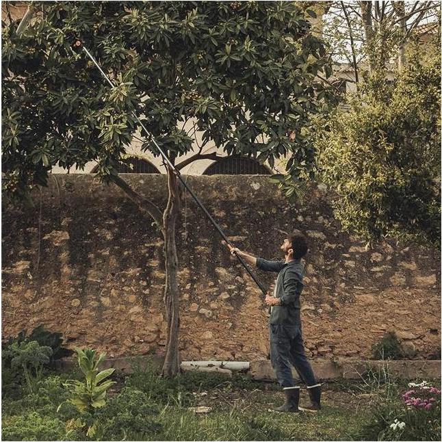 Actual product image Fiskars Telescopic cutting giraffe UPX86