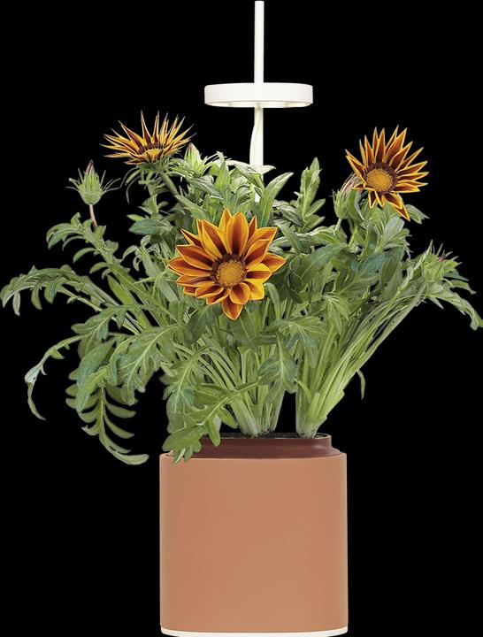 Actual product image Prêt à Pousser Herb pot Nano, Terracota (13.50 cm)