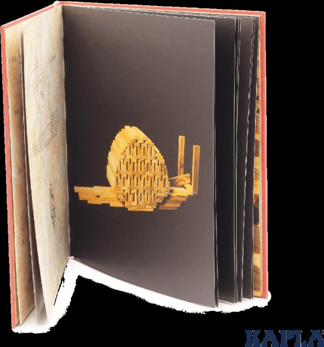 Actual product image Kapla Book 1 red