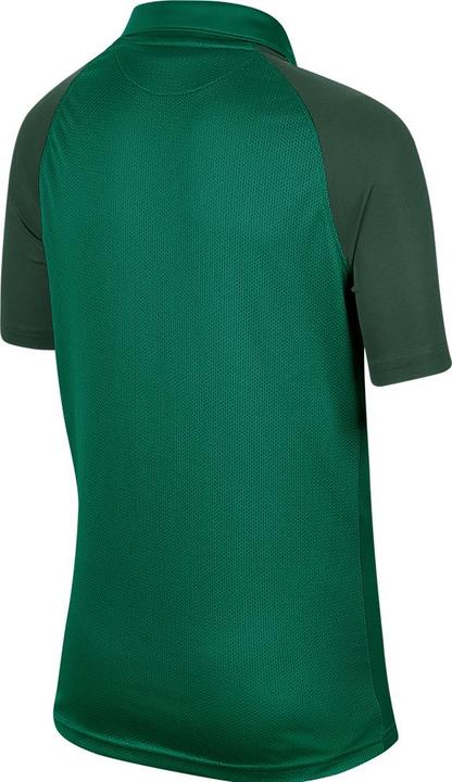 Produktbild Nike Trophy Iv Trikot Kurzarm Kids (L)