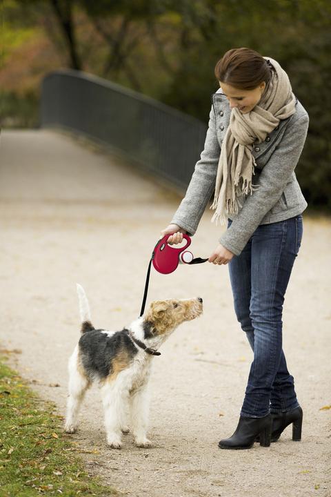 Image du produit Flexi Nouvelle ceinture classique (S, Chien, Promenade)