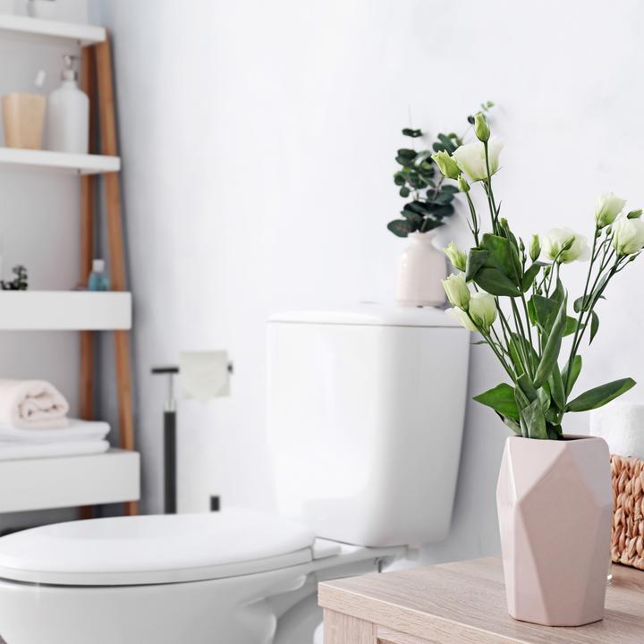 Actual product image Relaxdays Toilet paper holder