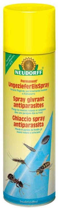 Actual product image Neudorff Insektenspray Permanent EisSpray 500 ml 1 Stück (500 ml)