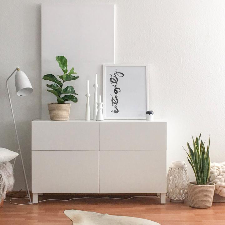 Immagine prodotto Flowerbox Canapa a fiocco - Sansevieria trifasciata Laurentii (35 cm)