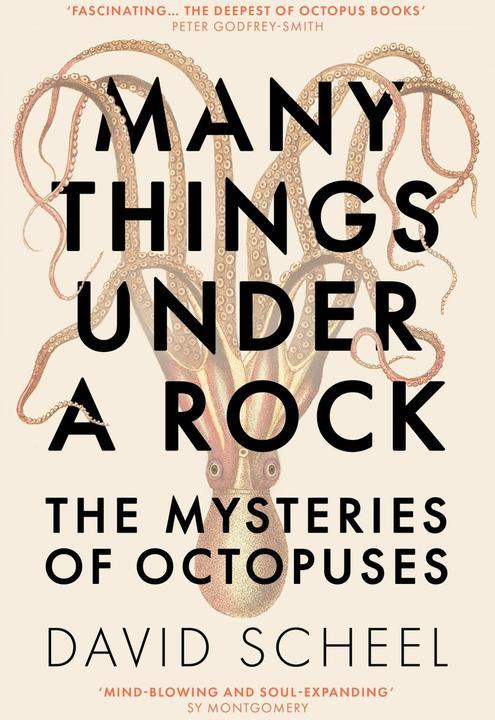 Image du produit Many Things Under a Rock (Anglais, David Scheel, 2023)