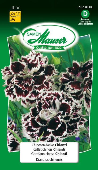 Immagine prodotto Samen Mauser Garofano cinese Chianti (Semi di fiori)
