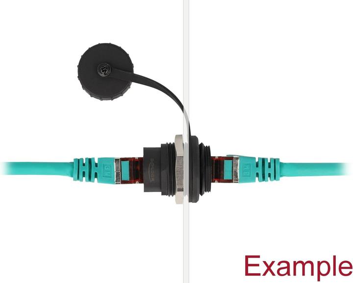Image du produit Delock Prise encastrée RJ45 Cat.6A avec cache-poussière (Raccord réseau)