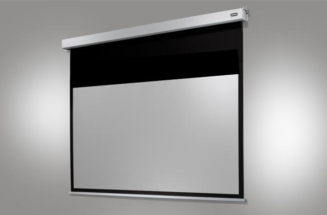 Actual product image Celexon Motor Professional Plus (122", 1:1)