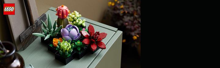 Actual product image LEGO Succulents (10309, LEGO Botanical, LEGO Rare Sets)