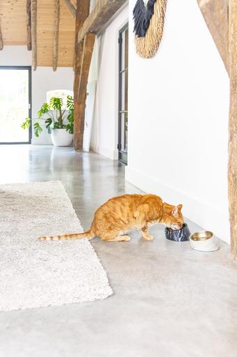 Produktbild Designed by Lotte Melaminnapf Katze Vita