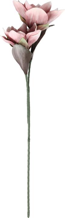Immagine prodotto EGLO LIVING Molave (83 cm)