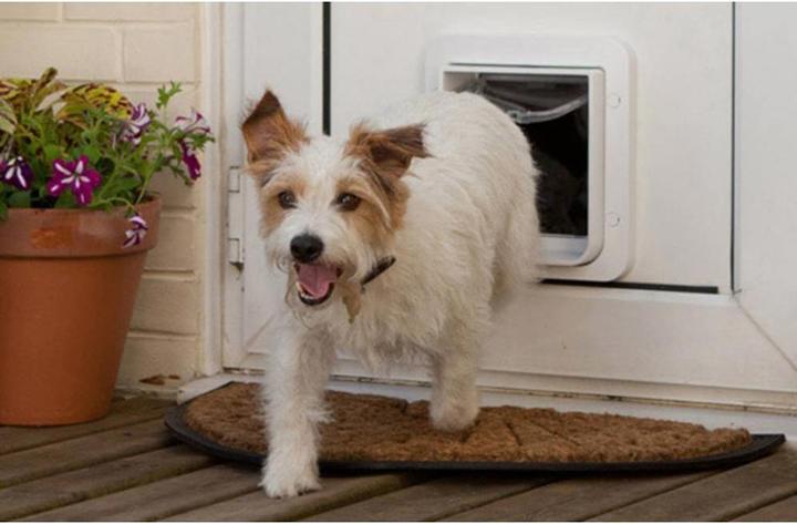 Immagine prodotto SureFlap Porta per gatti XXL (Zampa per gatti con microchip)