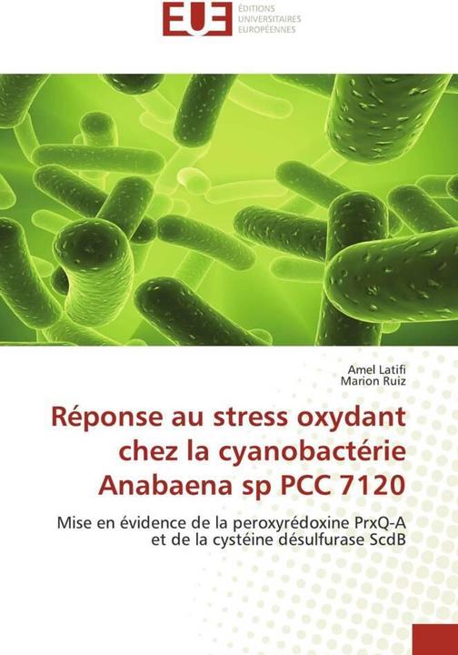 Produktbild Réponse au stress oxydant chez la cyanobactérie Anabaena sp PCC 7120 (Marion Ruiz, Amel Latifi, 2010)