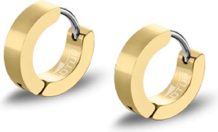 Actual product image Lotus Style LS2160-4/4 Earrings (Stainless steel)