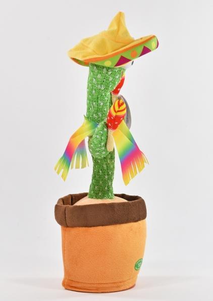 Immagine prodotto Kögler Cactus danzante (32 cm)