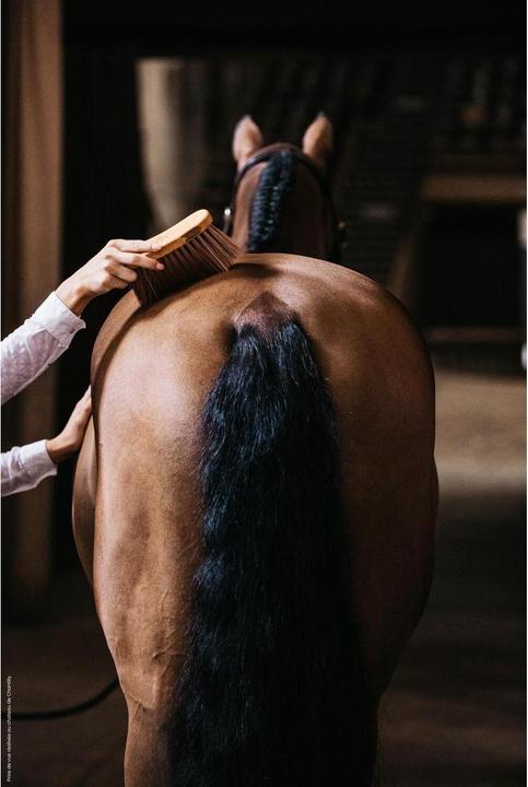 Actual product image Grooming Deluxe Middle Brush medium