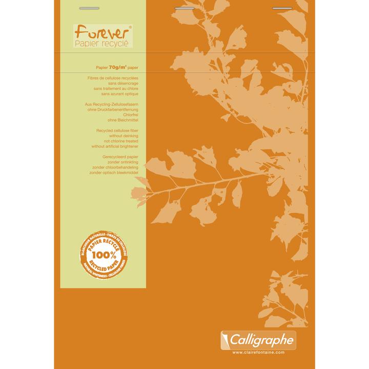 Actual product image Calligaphe Forever papier recyclé (A4, Checked)