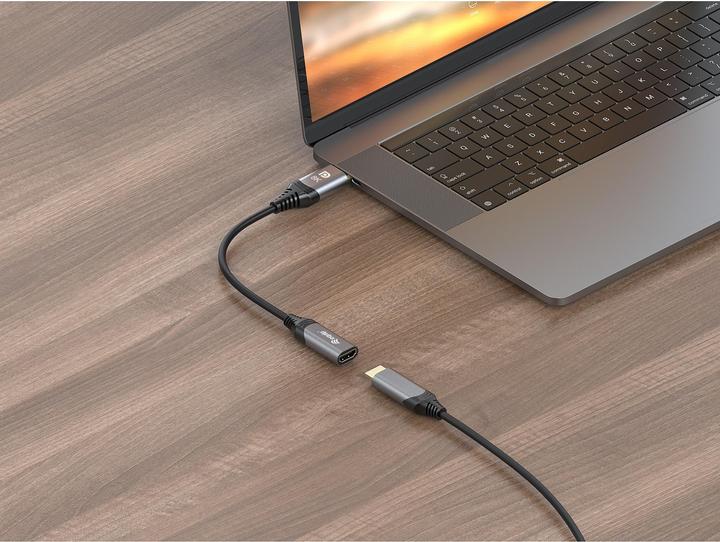 Image du produit equip Adaptateur Displayport->HDMI 1.4 St/Bu 8K/60Hz gris (HDMI, 1 cm)