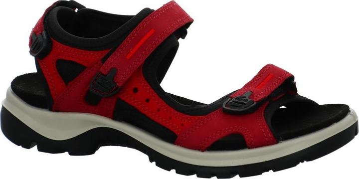 Ecco Offroad E - 61555