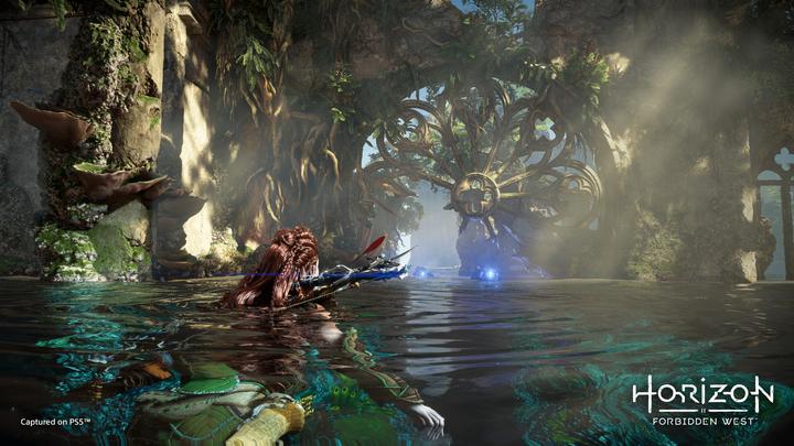 Actual product image Sony Horizon Forbidden West (PS5, EN)
