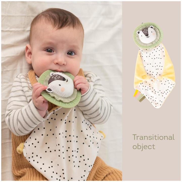 Actual product image Taf Toys Play set for newborns