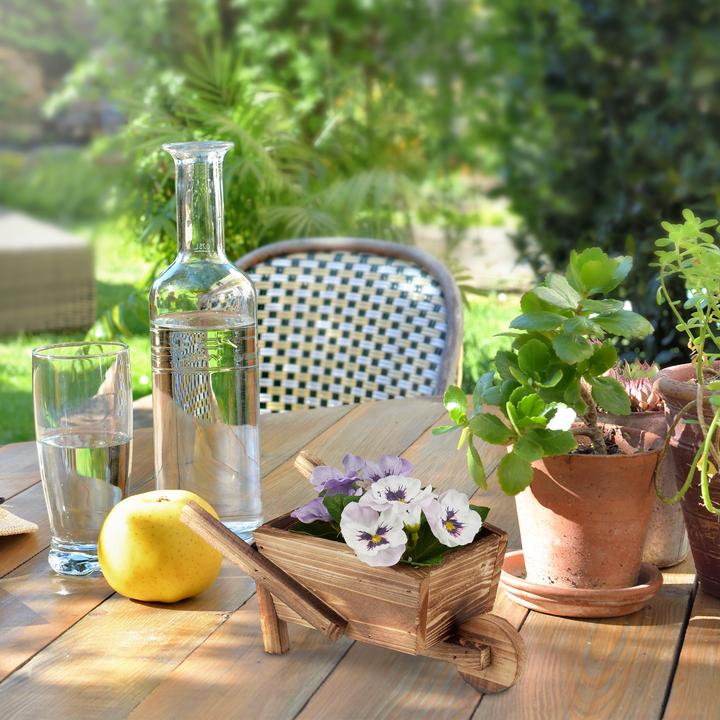 Produktbild Relaxdays Pflanzschubkarre