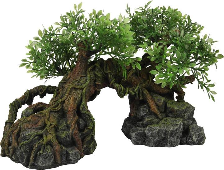 Produktbild EBI Terra Della Tree Jungle