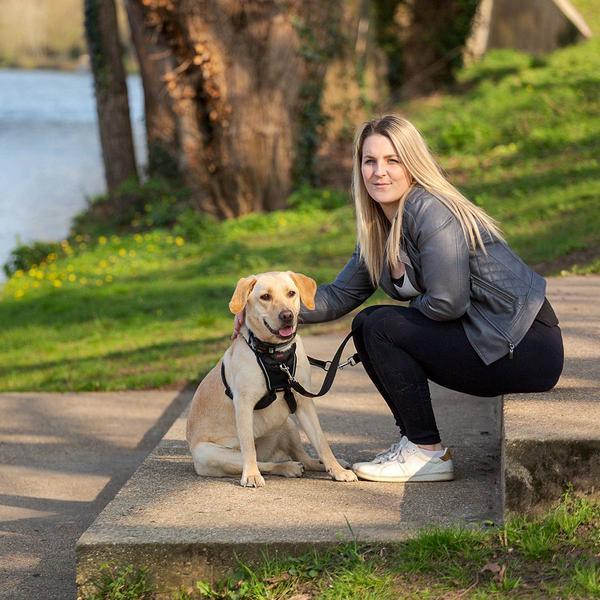 Actual product image Company of Animals Halti No Pull Antizug M Harness (M, Dog, Dog sport)